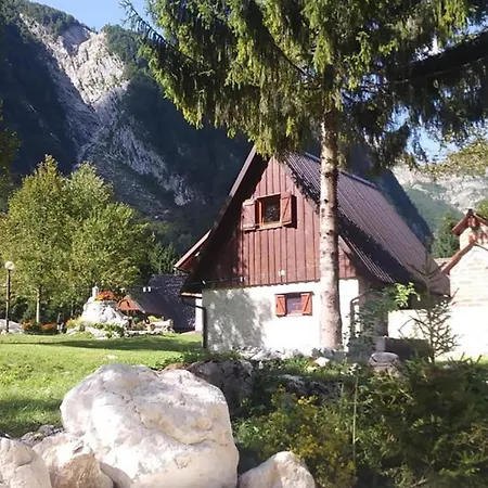 Hébergement de vacances Lepena Alpine Holiday *