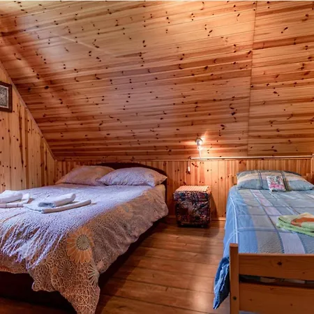 Lepena Alpine Holiday * Soca