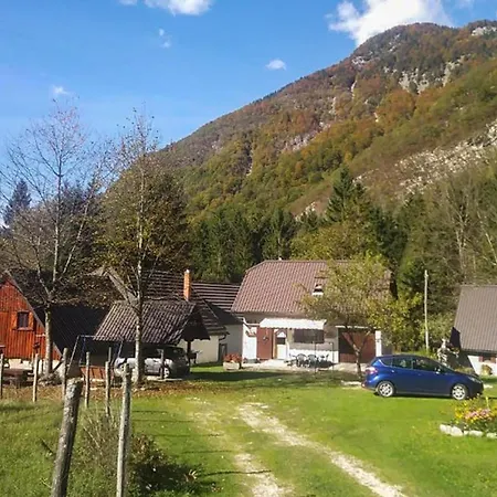 Lepena Alpine Holiday
