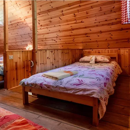Lepena Alpine Holiday