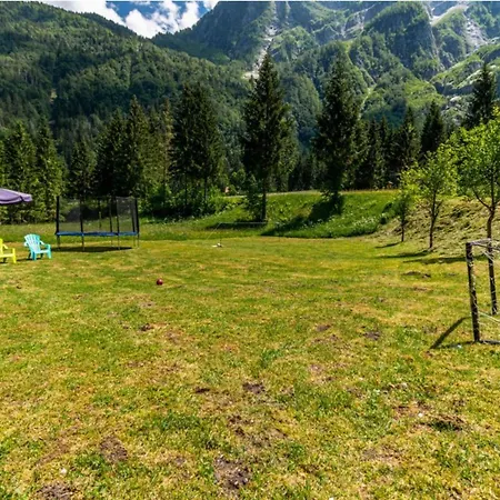 Lepena Alpine Holiday Holiday home