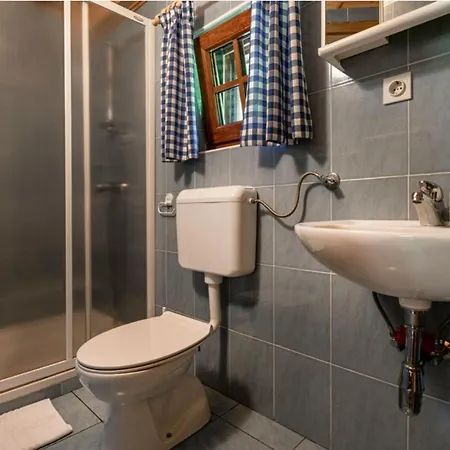 Lepena Alpine Holiday Holiday home *