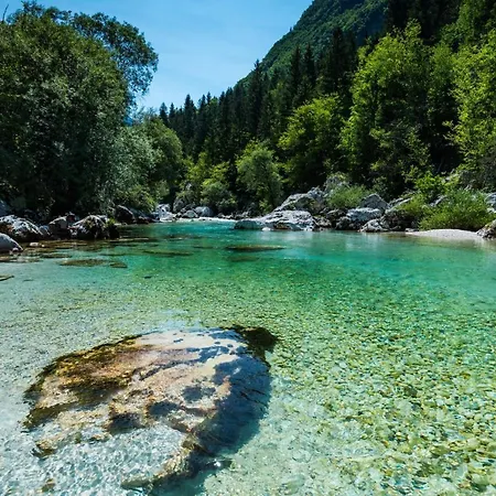 Lepena Alpine Holiday * Soča